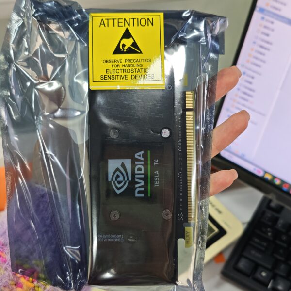 NVIDIA T4 16G GPU Card