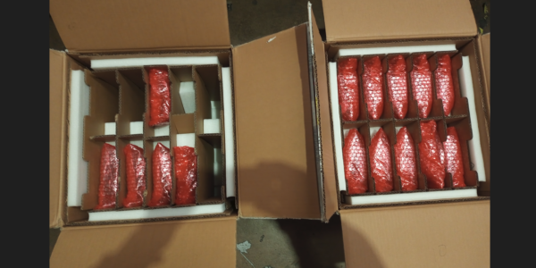 mmexport1771467364499 NVIDIA L40S 48G GPU Card