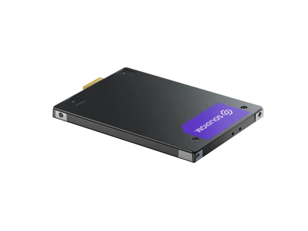 D7-PS1010 PCIe5.0 SSD for modern enterprise and cloud data center workloads